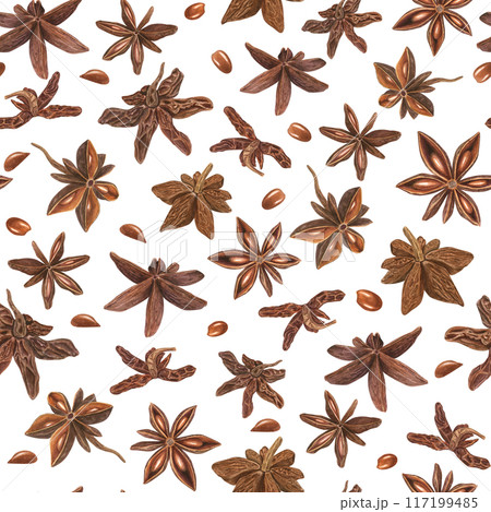 Star Anise seeds. Seamless pattern of Badian. Food with delicate spicy aroma for cooking. Watercolor botanical illustration. For decoration of menu, spice stores, Christmas and New Year textile 117199485