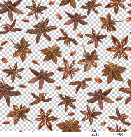Star Anise seeds. Seamless pattern of Badian. Food with delicate spicy aroma for cooking. Watercolor botanical illustration. For decoration of menu, spice stores, Christmas and New Year textile 117199485