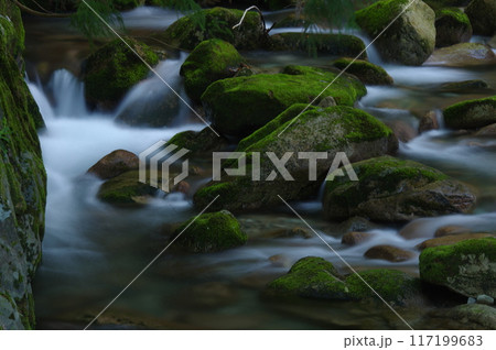 渓流風景 渓流風景 117199683