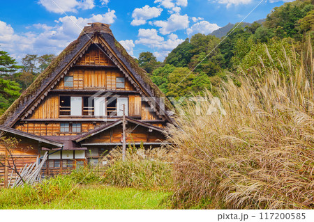 白川郷　合掌造り　世界文化遺産　飛騨高山　茅葺屋根のある古民家　 117200585