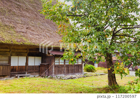 白川郷 合掌造り 世界文化遺産 飛騨高山 茅葺屋根のある古民家 白川郷 合掌造り 世界文化遺産 飛騨高山 茅葺屋根のある古民家 117200597