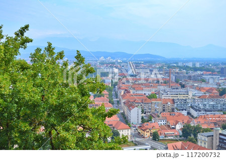 Travel to Europe during summer on holiday, Ljubljana in Slovenia. Top destination. Panoramic view 117200732