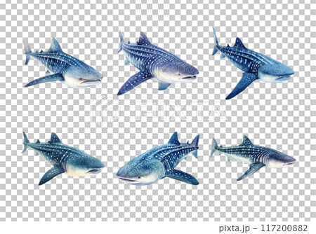 Cute watercolor painting style illustration of Whale Shark, isolated on white background 117200882
