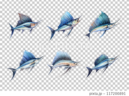Sailfish, Animal Illustration. Watercolor Style Sailfish, Animal Illustration. Watercolor Style 117200891