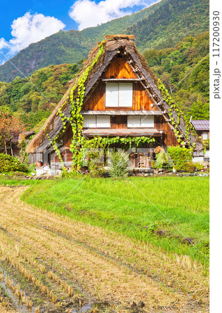 合掌造り集落を旅する　白川郷　合掌造り　世界文化遺産　飛騨高山　 117200930