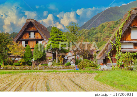 合掌造り集落を旅する　白川郷　合掌造り　世界文化遺産　飛騨高山　 117200931