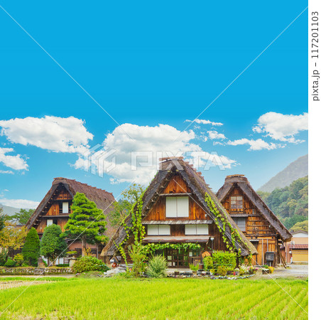 合掌造り集落を旅する　白川郷　合掌造り　世界文化遺産　飛騨高山　板壁 117201103