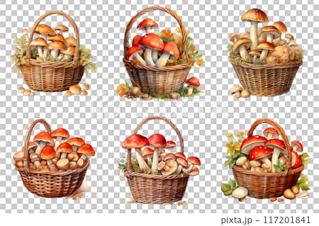 Six Baskets Filled with Various Types of Mushrooms 117201841