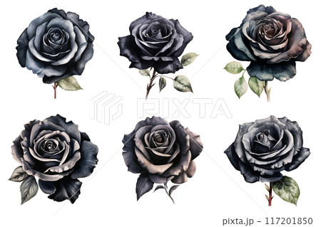Six Dark Watercolor Roses with Delicate Foliage 117201850