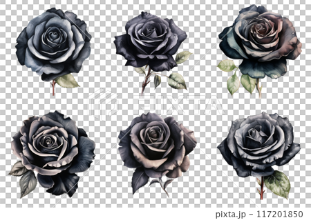 Six Dark Watercolor Roses with Delicate Foliage 117201850