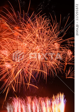 関東屈指の人気を誇る戸田橋花火大会・いたばし花火大会 関東屈指の人気を誇る戸田橋花火大会・いたばし花火大会 117201872