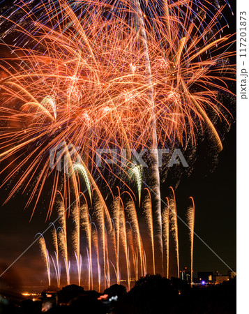関東屈指の人気を誇る戸田橋花火大会・いたばし花火大会 117201873