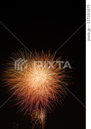 関東屈指の人気を誇る戸田橋花火大会・いたばし花火大会 関東屈指の人気を誇る戸田橋花火大会・いたばし花火大会 117201875