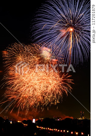 関東屈指の人気を誇る戸田橋花火大会・いたばし花火大会 関東屈指の人気を誇る戸田橋花火大会・いたばし花火大会 117201879