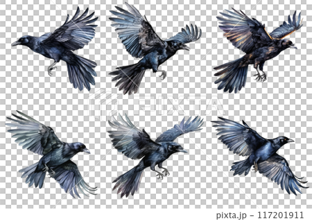 Six Watercolor Crows in Flight Against a Black Background Six Watercolor Crows in Flight Against a Black Background 117201911