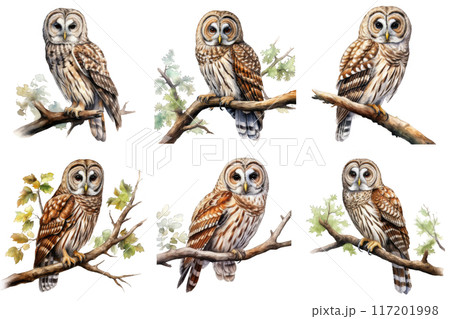 フクロウページ 20200710063457-211x300.jpg