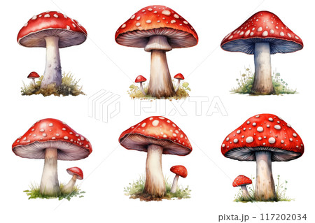 Six Watercolor Illustrations of Red and White Spotted Mushrooms 117202034