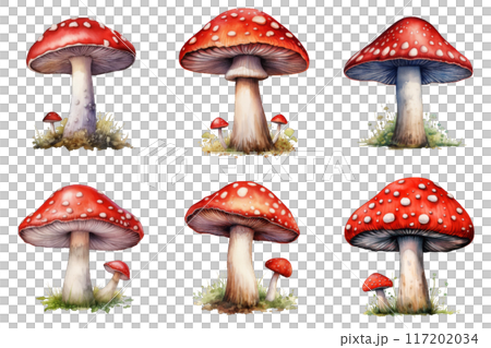 Six Watercolor Illustrations of Red and White Spotted Mushrooms 117202034