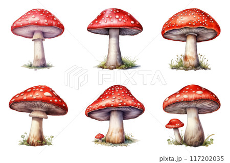 Six Red and White Spotted Mushrooms on a Black Background Six Red and White Spotted Mushrooms on a Black Background 117202035