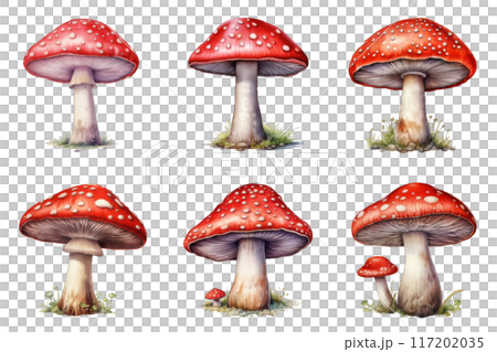 Six Red and White Spotted Mushrooms on a Black Background 117202035