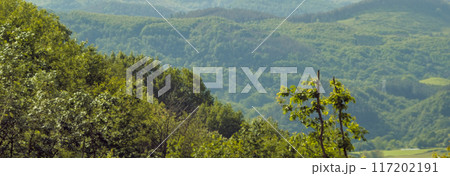 Mountains and landscapes of the Basque Country on a clear morning 117202191