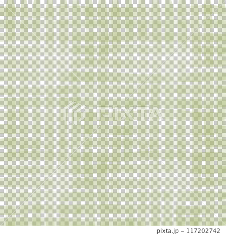 Sage Green Gingham Check Hand Drawn Background Overlay Sage Green Gingham Check Hand Drawn Background Overlay 117202742