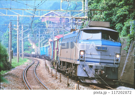 東海道本線を走る貨物列車 117202872