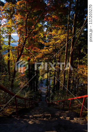 中之嶽神社の紅葉と朝焼け 117203270