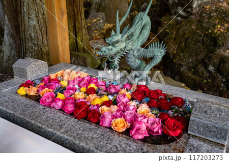 中之嶽神社の花手水 117203273