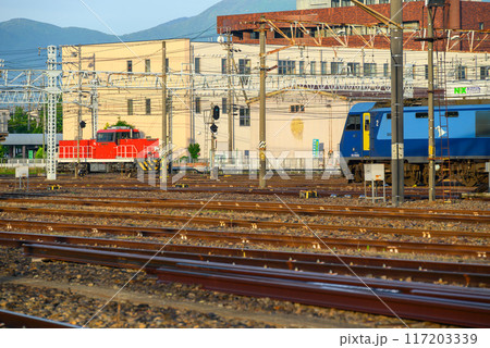 JR貨物HD300形ハイブリッド機関車とEH200形電気機関車【南松本駅】 117203339