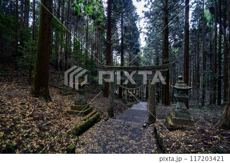 上色見熊野座神社 117203421