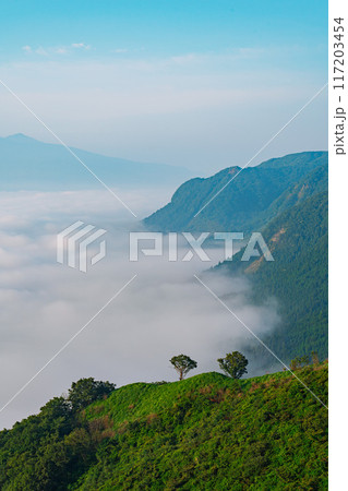 雲海に覆われた山 117203454