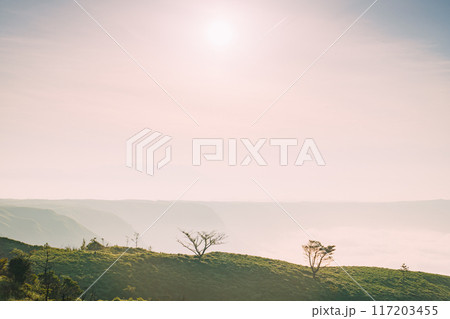 山頂から望む雲海 117203455