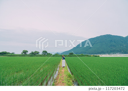 夏の田んぼを歩くカップル 117203472