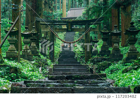 神聖な森の中にある鳥居 117203482