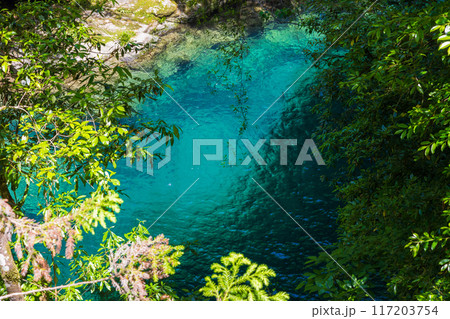 高知県いの町の夏　仁淀ブルーの人気スポット　にこ淵 117203754