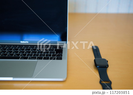 アップルウォッチ　情報端末 117203851