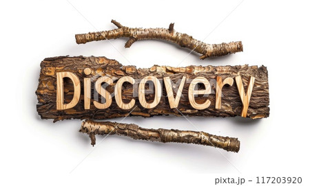 Innovation and breakthrough symbol created in Birch Twig Letters. Innovation and breakthrough symbol created in Birch Twig Letters. 117203920