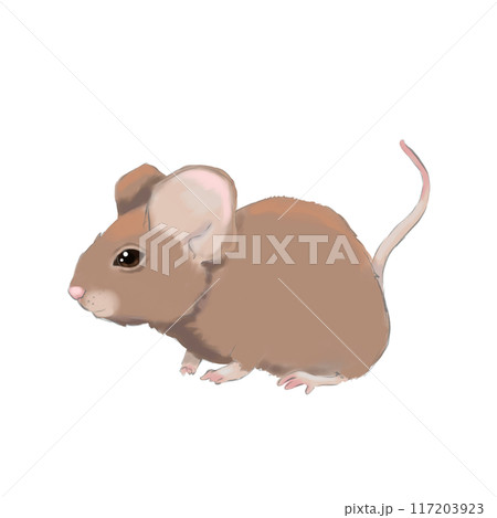 Brown field mouse, color illustration for use labels, printing, fabrics, packaging 117203923