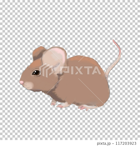 Brown field mouse, color illustration for use labels, printing, fabrics, packaging 117203923