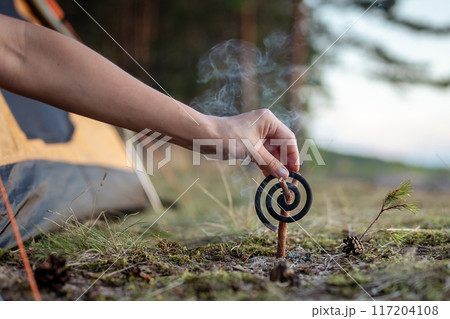 Unrecognizable hand burning mosquito coil spiral - fumigator during nature getaway on camping site Unrecognizable hand burning mosquito coil spiral - fumigator during nature getaway on camping site 117204108