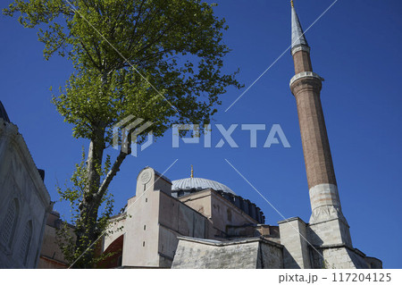 Hagia Sophia Grand Mosque (Ayasofya Camii) Hagia Sophia Grand Mosque (Ayasofya Camii) 117204125