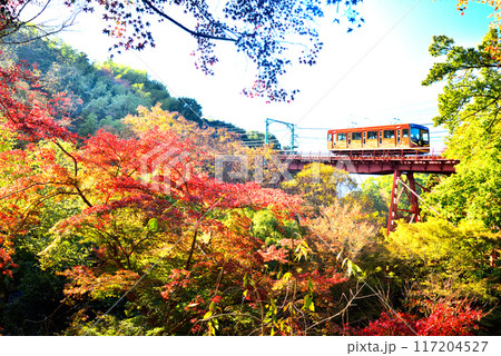 京都府 石清水八幡宮へ登るケーブルカーと紅葉 京都府 石清水八幡宮へ登るケーブルカーと紅葉 117204527