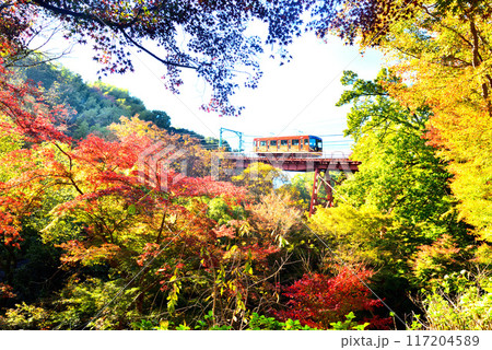 京都府 石清水八幡宮へ登るケーブルカーと紅葉 117204589