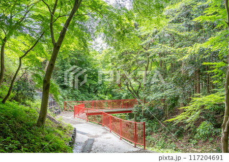 三重県四日市市　青もみじと呼ばれる新緑が美しい宮妻峡の散策路 117204691