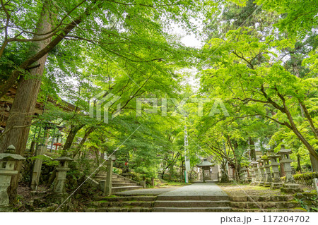 岐阜県揖斐川町　新緑の谷汲山華厳寺の参道 117204702