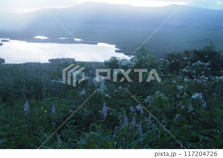 八島湿原の朝景 117204726