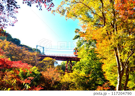京都府 石清水八幡宮へ登るケーブルカーと紅葉 京都府 石清水八幡宮へ登るケーブルカーと紅葉 117204790