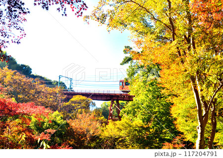 京都府 石清水八幡宮へ登るケーブルカーと紅葉 京都府 石清水八幡宮へ登るケーブルカーと紅葉 117204791