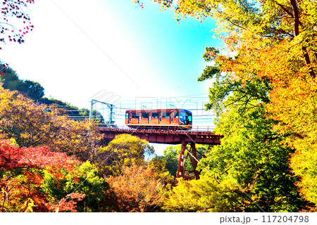 京都府 石清水八幡宮へ登るケーブルカーと紅葉 117204798